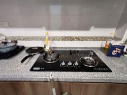 Dover Parkview (D5), Condominium #550377751